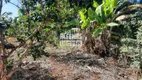 Foto 2 de Fazenda/Sítio com 2 Quartos à venda, 90m² em Cidade Jardim, Esmeraldas