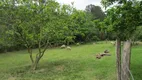 Foto 13 de Fazenda/Sítio com 3 Quartos à venda, 30000m² em Lageado, Porto Alegre