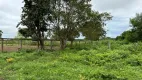 Foto 12 de Fazenda/Sítio com 5 Quartos à venda, 5000m² em Centro, Formoso do Araguaia