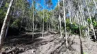 Foto 6 de Fazenda/Sítio à venda, 20000m² em Estrada das Areias, Indaial