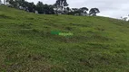 Foto 20 de Fazenda/Sítio à venda, 48400m² em Campos de Cunha, Cunha