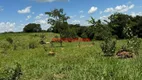 Foto 23 de Fazenda/Sítio com 3 Quartos à venda, 200m² em , Piracanjuba