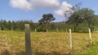 Foto 3 de Lote/Terreno à venda, 600m² em Lapa, São Paulo