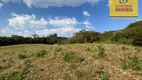 Foto 4 de Fazenda/Sítio à venda, 121000m² em Bateias, Campo Largo