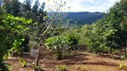 Foto 39 de Fazenda/Sítio com 3 Quartos à venda, 4600m² em Dom Rodrigo, Campo Largo