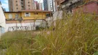 Foto 2 de Lote/Terreno à venda, 329m² em Barro Preto, Belo Horizonte