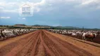 Foto 4 de Fazenda/Sítio à venda, 150000000m² em Zona Rural, Palmas