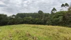 Foto 24 de Lote/Terreno à venda, 5000m² em Vila Delurdes, Campo Largo