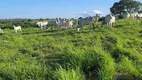 Foto 20 de Fazenda/Sítio à venda, 200000m² em , Monte Alegre