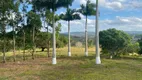Foto 75 de Fazenda/Sítio com 5 Quartos à venda, 70000m² em São Vicente de Paulo, Vitória de Santo Antão