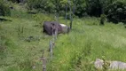 Foto 4 de Fazenda/Sítio com 2 Quartos à venda, 200m² em , Canelinha