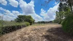 Foto 67 de Fazenda/Sítio com 3 Quartos à venda, 500m² em Zona Rural, Saltinho