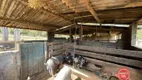 Foto 14 de Fazenda/Sítio com 3 Quartos à venda, 200m² em Zona Rural, Caetanópolis