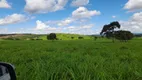 Foto 20 de Fazenda/Sítio com 3 Quartos à venda, 5500000m² em Centro, São João da Ponte