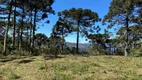 Foto 9 de Fazenda/Sítio à venda, 20000m² em Zona Rural, Urubici