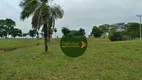 Foto 17 de Fazenda/Sítio à venda, 20812000m² em Zona Rural, Rubiataba