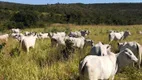 Foto 15 de Fazenda/Sítio com 3 Quartos à venda, 200m² em Centro, Lassance