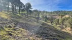 Foto 10 de Fazenda/Sítio à venda, 30000m² em Rio das Antas, Rancho Queimado