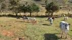 Foto 2 de Fazenda/Sítio com 3 Quartos à venda, 193600m² em Zona Rural, São Luiz do Paraitinga