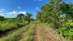 Foto 7 de Fazenda/Sítio à venda, 100000m² em Centro, Itaparica