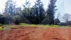 Foto 4 de Galpão/Depósito/Armazém para alugar, 3000m² em Cilo 2, Londrina