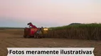 Foto 10 de Fazenda/Sítio à venda, 500m² em Centro, Bauru