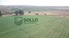 Foto 8 de Fazenda/Sítio com 3 Quartos à venda, 260m² em Zona Rural, Hidrolândia