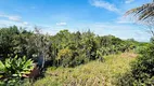 Foto 10 de Fazenda/Sítio com 3 Quartos à venda, 250m² em Setor Industrial Munir Calixto, Gameleira de Goiás