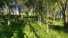 Foto 13 de Lote/Terreno à venda, 984m² em Vale dos Vinhedos, Bento Gonçalves