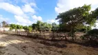 Foto 3 de Lote/Terreno à venda, 1000m² em , São José de Mipibu