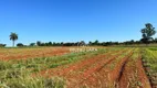 Foto 18 de Fazenda/Sítio com 6 Quartos à venda, 1200m² em RANCHO TRÊS LAGOAS, Igarapé