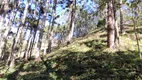 Foto 10 de Lote/Terreno à venda, 96000m² em Zona Rural, Marmelópolis