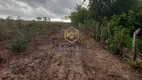 Foto 14 de Fazenda/Sítio com 2 Quartos à venda, 10000m² em , Magalhães de Almeida