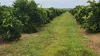 Foto 3 de Fazenda/Sítio à venda, 2129600m² em Centro, São Francisco de Sales