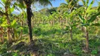 Foto 17 de Fazenda/Sítio com 3 Quartos à venda, 150m² em Rio Seco Bacaxa, Saquarema