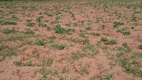 Foto 2 de Fazenda/Sítio com 3 Quartos à venda, 44000m² em Centro, Touros