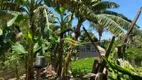 Foto 3 de Fazenda/Sítio com 2 Quartos à venda, 140m² em Area Rural de Artur Nogueira, Artur Nogueira