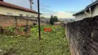 Foto 3 de Lote/Terreno à venda, 420m² em Vila Bernadotti, Mogi das Cruzes