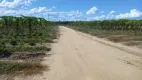 Foto 14 de Fazenda/Sítio com 2 Quartos à venda, 200m² em Jacupemba, Aracruz