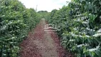 Foto 7 de Fazenda/Sítio à venda em Zona Rural, Varginha