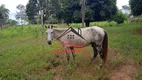 Foto 30 de Fazenda/Sítio com 2 Quartos à venda, 30m² em Senador Mourao, Diamantina