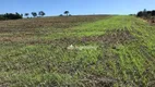 Foto 5 de Fazenda/Sítio à venda, 72000m² em Zona Rural, Londrina