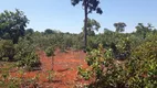 Foto 3 de Lote/Terreno à venda, 20000m² em Zona Rural, Paraopeba