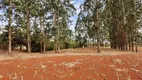 Foto 3 de Fazenda/Sítio com 1 Quarto à venda, 20000m² em Zona Rural, Terezópolis de Goiás