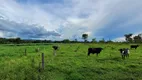 Foto 6 de Fazenda/Sítio com 3 Quartos à venda, 3630000m² em Centro, Guapó