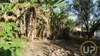 Foto 13 de Lote/Terreno à venda, 600m² em Braúnas, Belo Horizonte