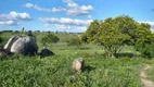 Foto 3 de Fazenda/Sítio à venda, 40000000m² em Zona Rural, Solânea