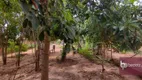 Foto 19 de Fazenda/Sítio com 2 Quartos à venda, 130m² em Estância São Pedro Zona Rural, São José do Rio Preto