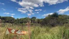 Foto 4 de Fazenda/Sítio com 1 Quarto à venda, 4000m² em Cotia, São José dos Pinhais