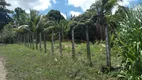 Foto 4 de Lote/Terreno à venda, 3000m² em Zona Rural, Paudalho